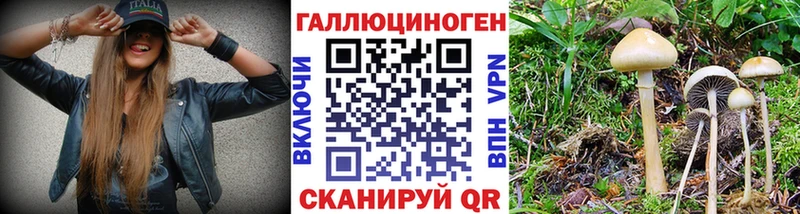 Псилоцибиновые грибы мухоморы Орск